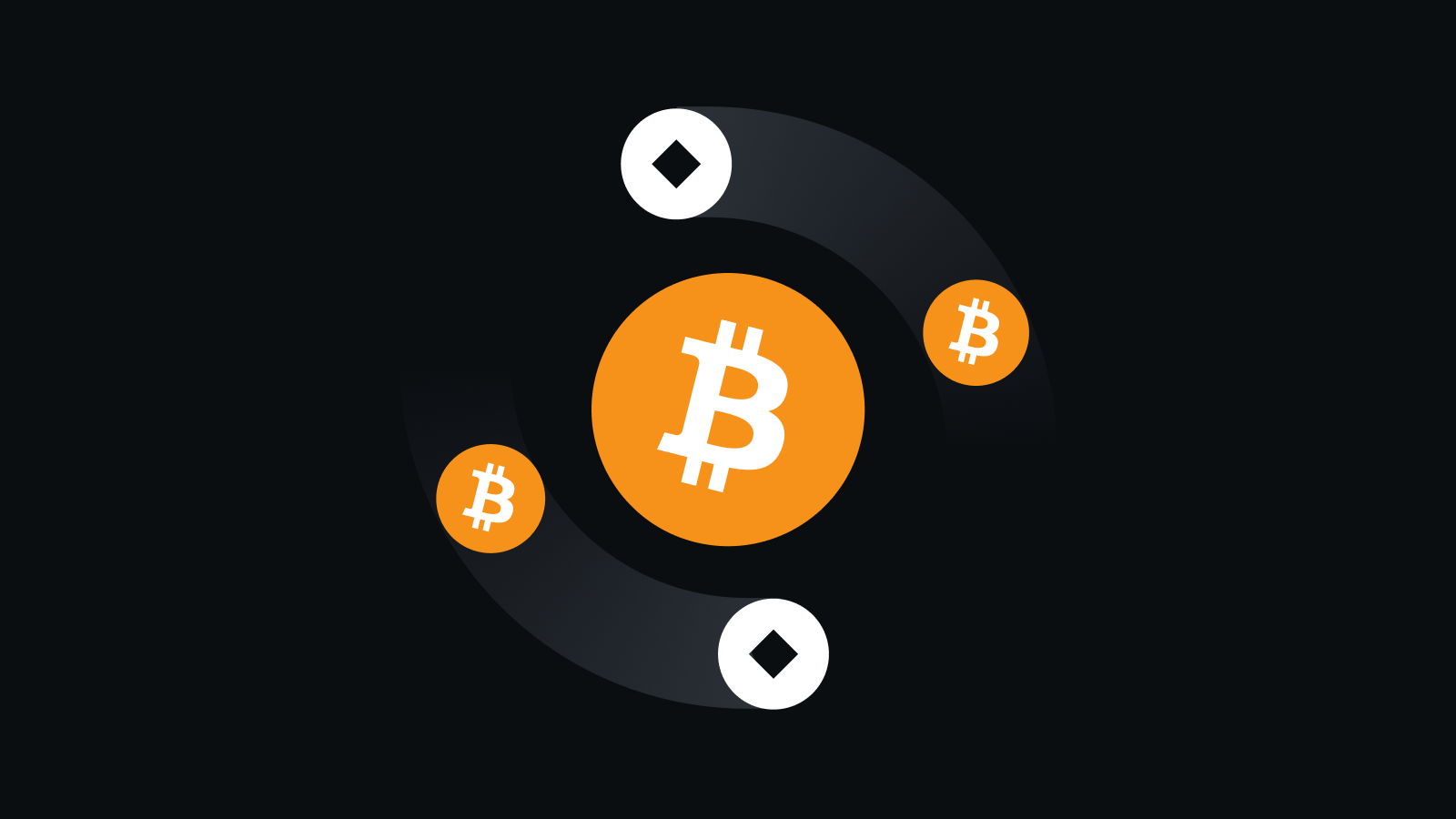 智能钱包管理专家